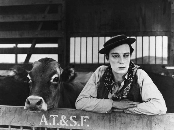 CinéClub: Ma vache et moi (Go West)