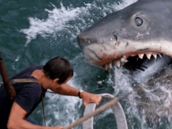 CinéClub: Les dents de la mer (Jaws)